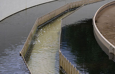 從事污水處理工作，你必須知道的危險